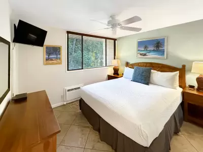 Condominium